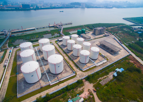 535829f4d20740ff826370856fe06597